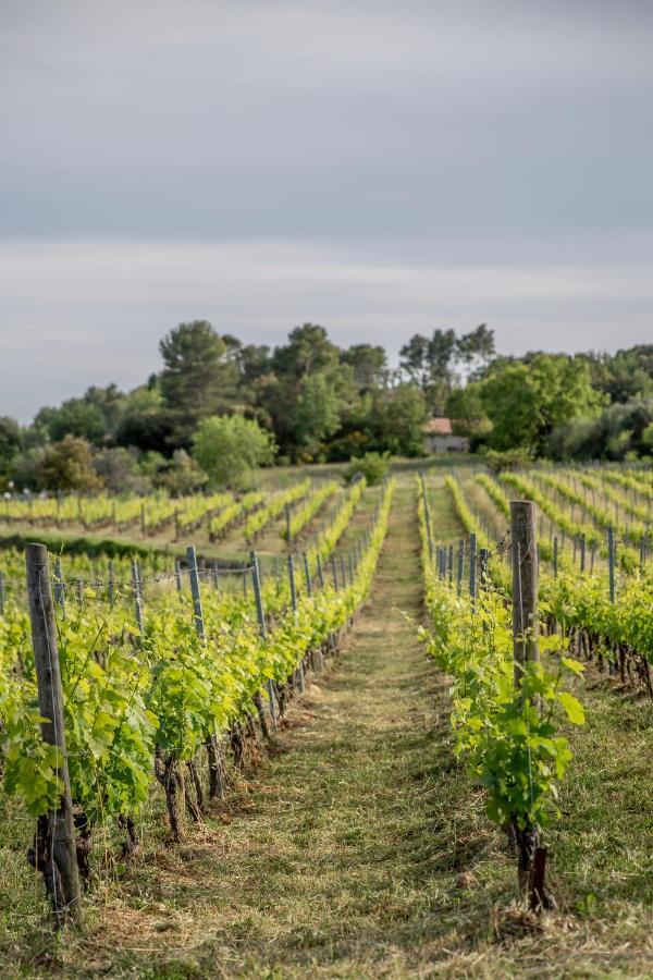 Domaine Rabiega - Vineyard And Boutique Hotel Draguignan Exterior photo
