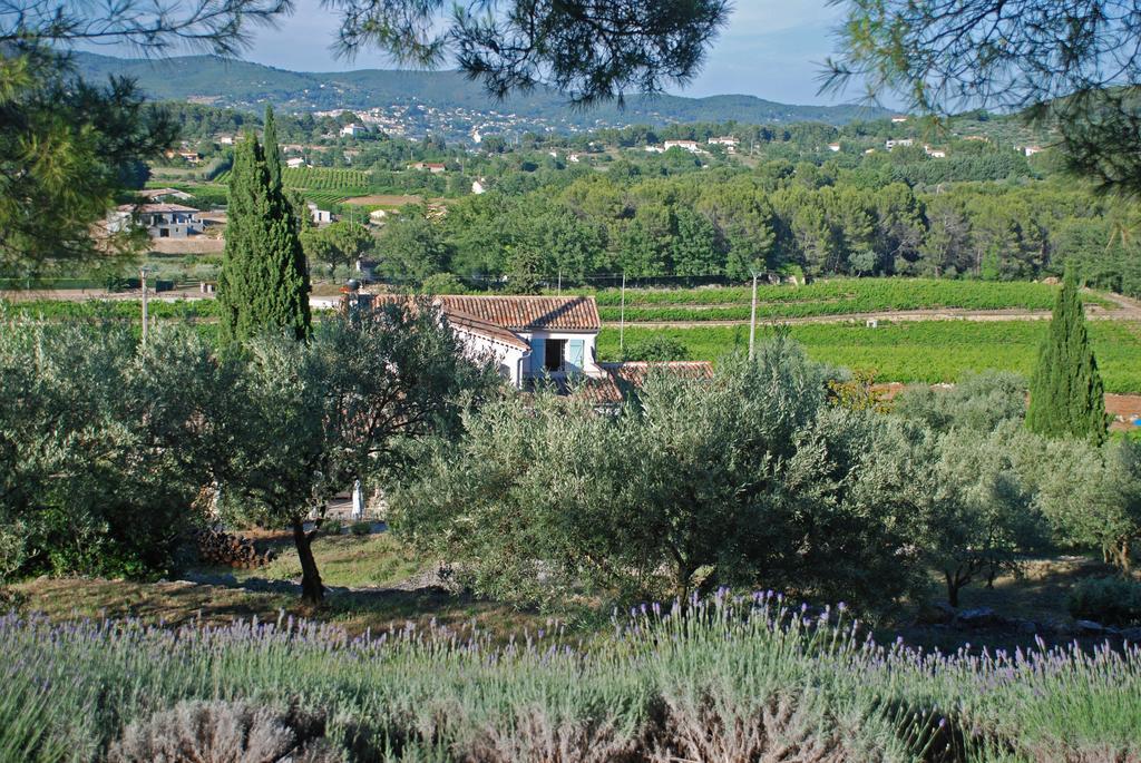 Domaine Rabiega - Vineyard And Boutique Hotel Draguignan Exterior photo