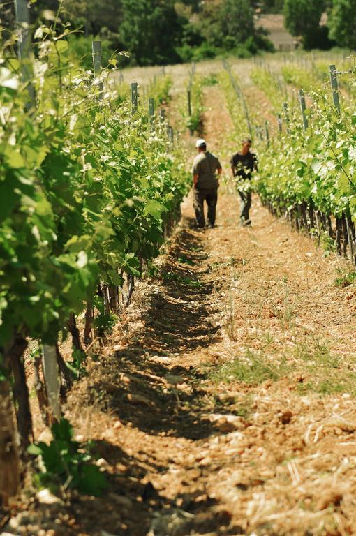 Domaine Rabiega - Vineyard And Boutique Hotel Draguignan Exterior photo