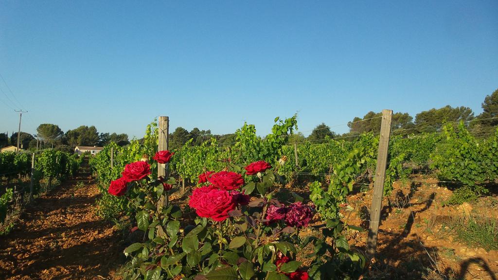 Domaine Rabiega - Vineyard And Boutique Hotel Draguignan Exterior photo